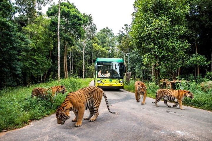 Hàn Quốc xúc tiến chương trình phúc lợi tại Vinpearl - 7