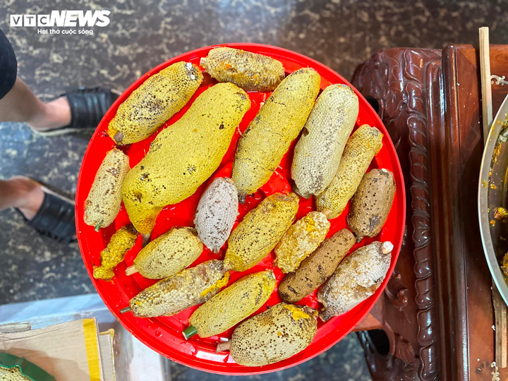 Những tổ ong ruồi đã được khai thác, chuẩn bị được gửi đi cho khách. (Ảnh: NVCC)