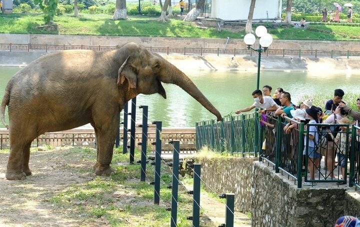 Công viên Thủ Lệ còn gọi là Vườn Bách thú.