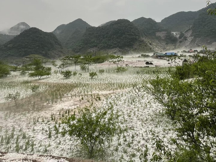 Trận mưa đá xảy ra vào chiều 24/4 tại huyện Vân Hồ gây thiệt hại tài sản cho người dân.