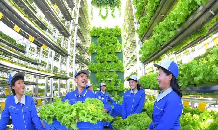 Người lao động Triều Tiên vui vẻ bên thành phẩm do mình làm ra.