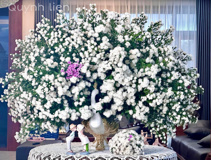 Bình hoa thạch thảo kép trắng khiến nhiều người say đắm.