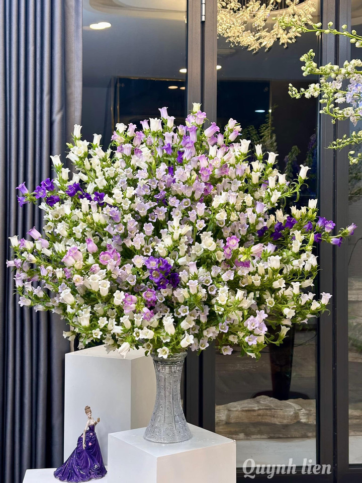 Bình hoa chuông với 12 bó tươi rất lâu.