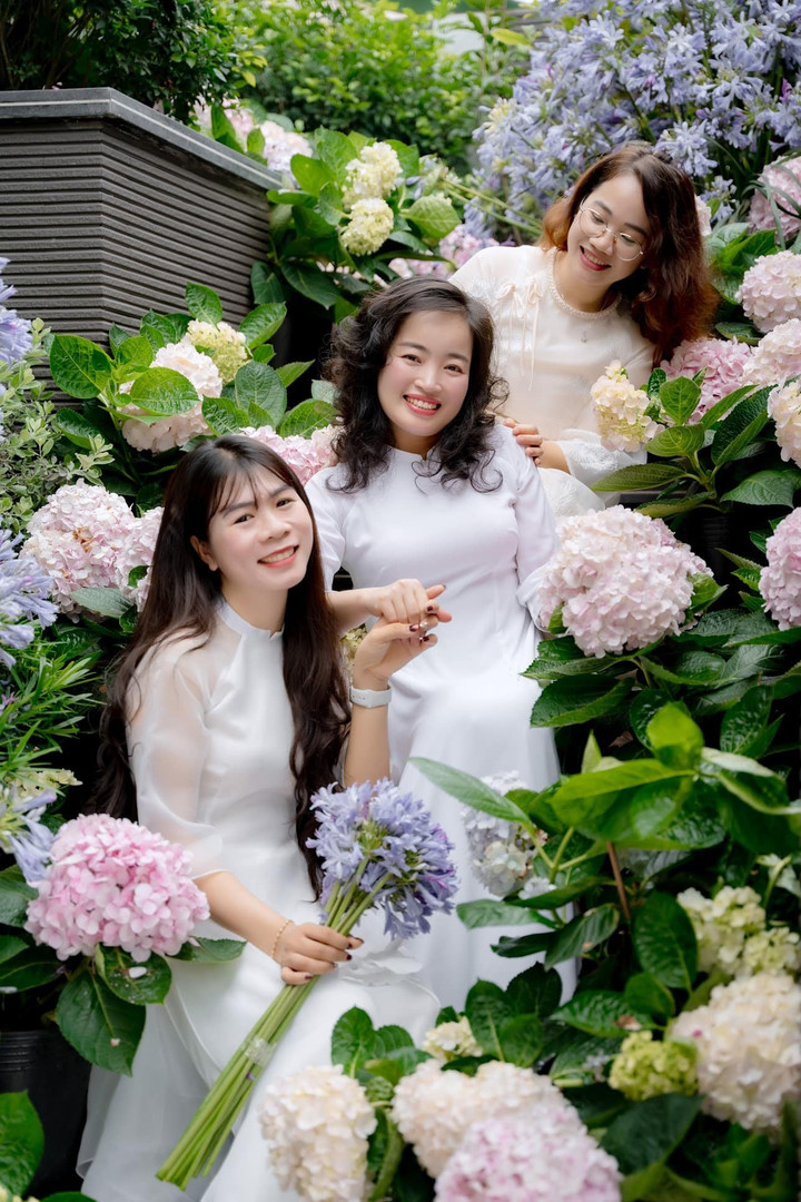 Hội chị em tranh thủ "sống ảo" bên vườn hoa cẩm tú cầu.