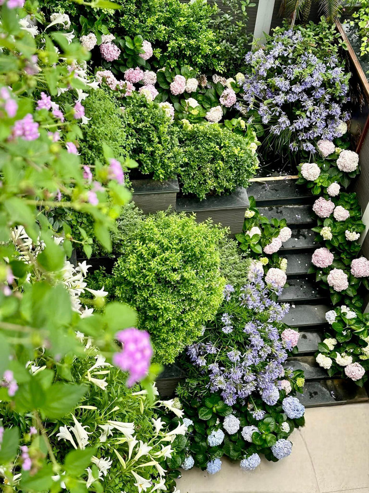 Không gian sống ngập tràn sắc hoa.