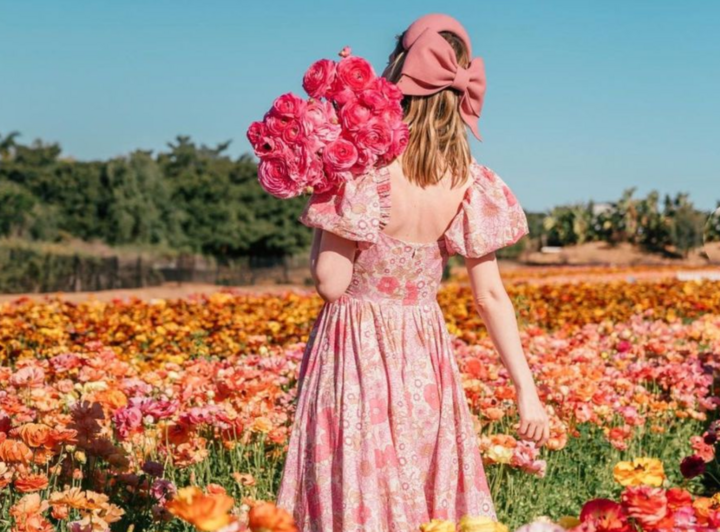 Cánh đồng hoa mao lương ở California (Mỹ). Trong đó, những bông hoa mao lương lớn nở rộ trên cánh đồng hoa tại Trang trại Carlsbad ở Carlsbad, California trong khoảng 6-8 tuần mỗi năm, từ đầu tháng 3 đến đầu tháng 5.