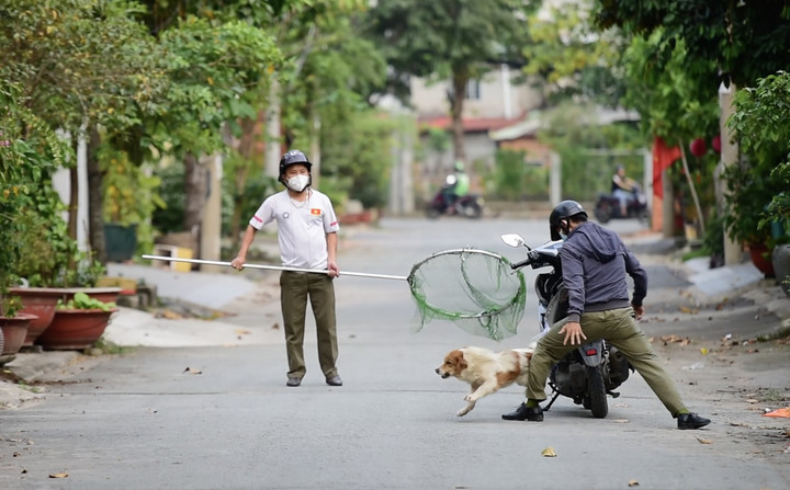 Đội bắt chó thả rông phường Hiệp Bình Chánh, TP Thủ Đức. (Ảnh: Nguyễn Nam)