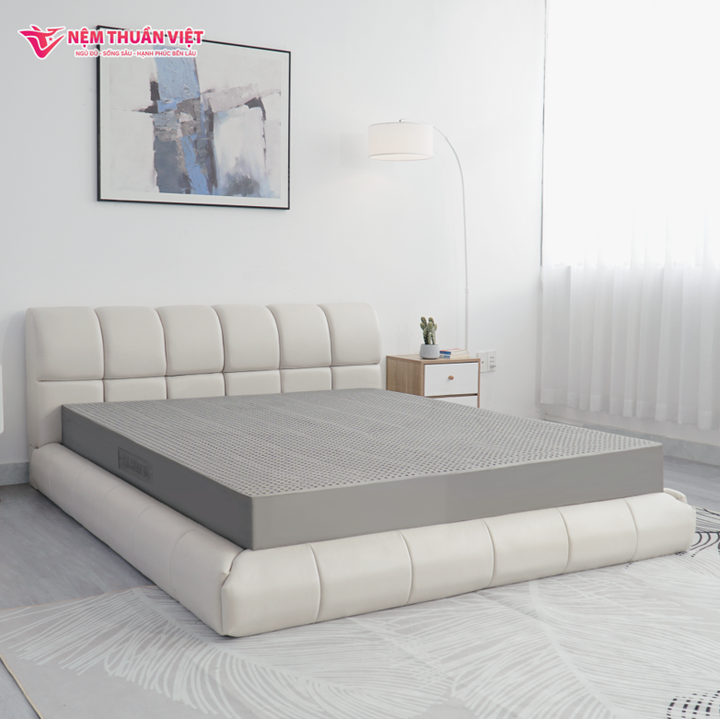 Lựa chọn nệm cao su Thuần Việt President, hè ngủ chẳng còn lo nóng - 1