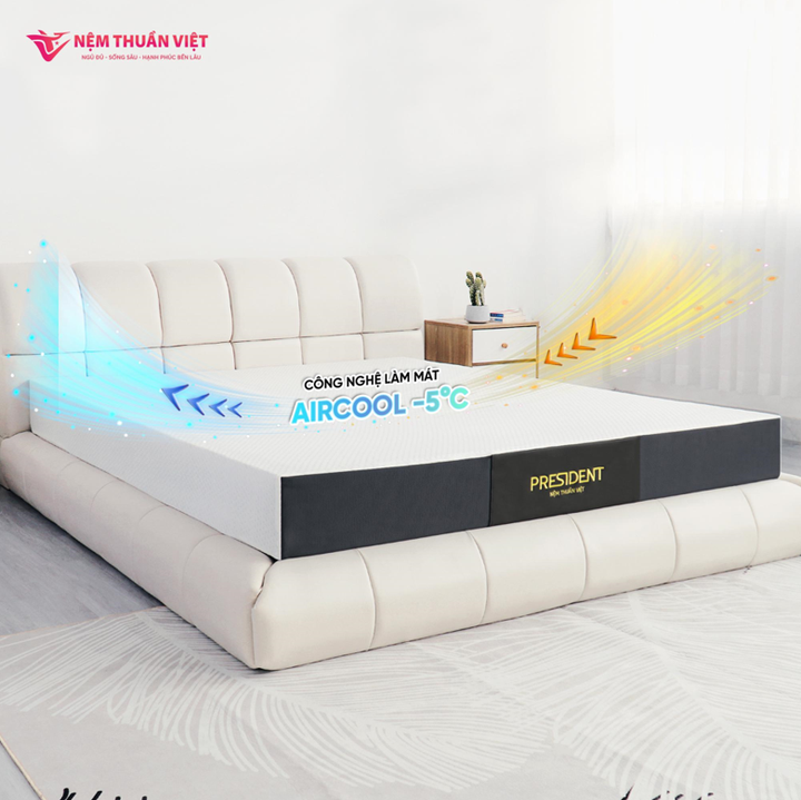 Lựa chọn nệm cao su Thuần Việt President, hè ngủ chẳng còn lo nóng - 2