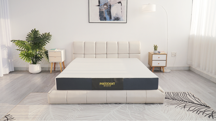 Lựa chọn nệm cao su Thuần Việt President, hè ngủ chẳng còn lo nóng - 3