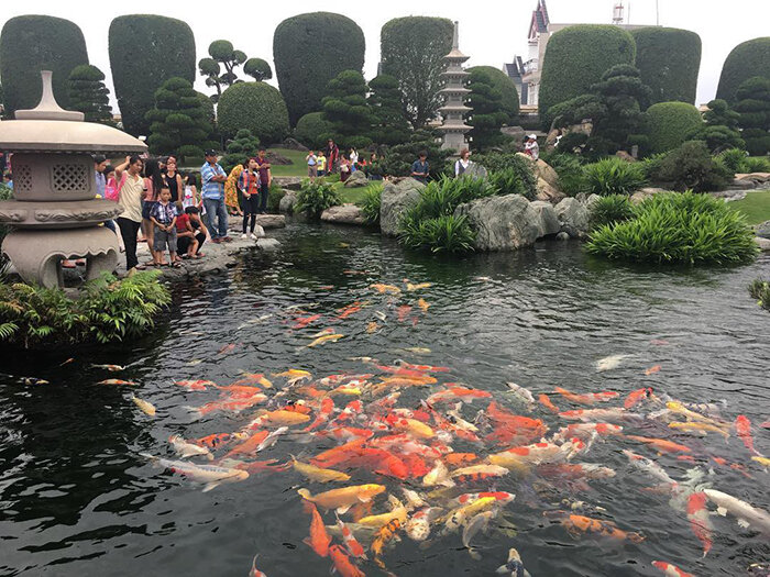 Công viên cá Koi Rin Rin Park là công viên cá Koi quy mô lớn nhất TP.HCM hiện nay. (Ảnh: Rin Rin Park)