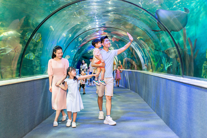 Vinpearl Aquarium Times City là thủy cung giúp trẻ du hành khám phá môi trường đại dương, sinh vật biển.