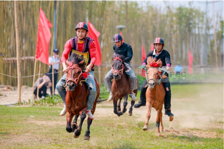 Những nài ngựa thuần thục trên đường đua tại Shanrila Mường Lò.