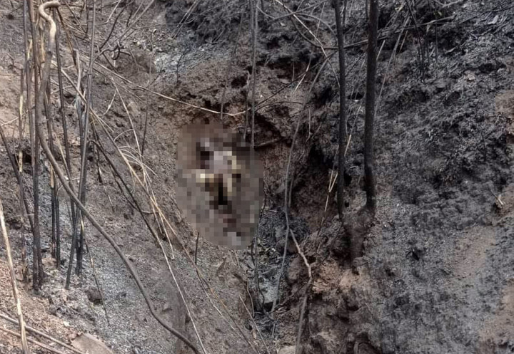 Khe núi nơi phát hiện thi thể 3 bố con ông Hạng A G. (Ảnh: VOV)