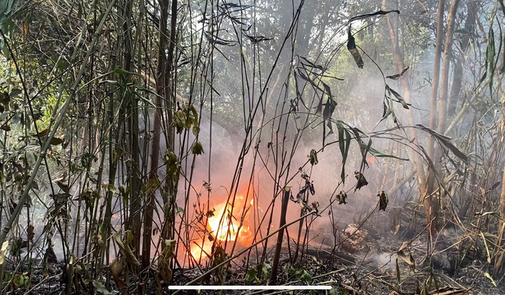 Điểm cháy có thể bùng phát bởi gió lớn.