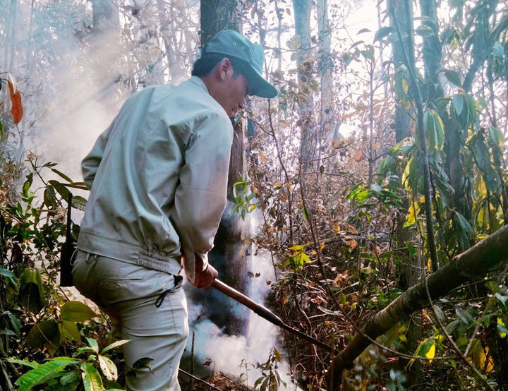 Lào Cai: Căng sức chữa cháy, cứu quần thể pơ mu lớn nhất huyện Văn Bàn - 6