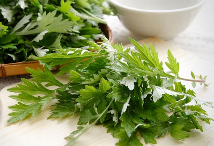 Loại dược liệu dân gian trong vườn, ăn hàng ngày chữa đau xương khớp hiệu quả