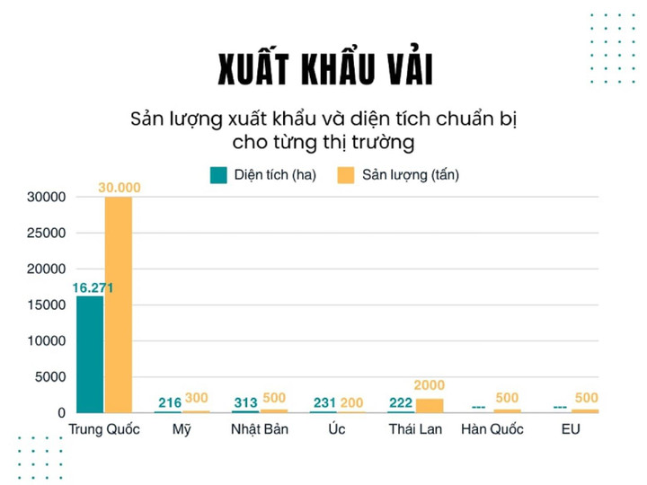 Diện tích trồng và sản lượng vải xuất khẩu dự kiến 2024. (Đồ họa: Công Hiếu)
