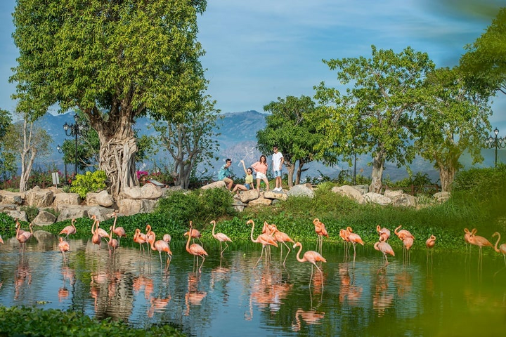 Hồ Hồng Hạc tại King’s Garden