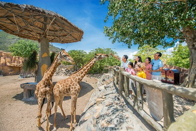 Có Vinpearl Safari Nha Trang không? - 2