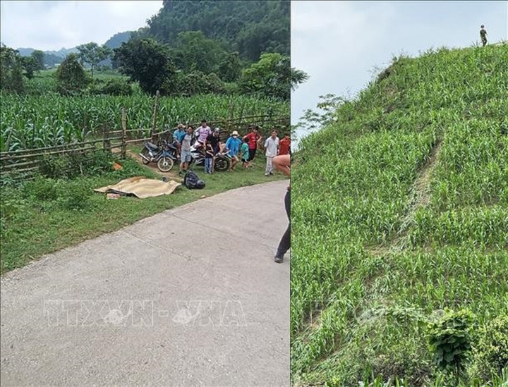 Hiện trường vụ tự gây tai nạn.