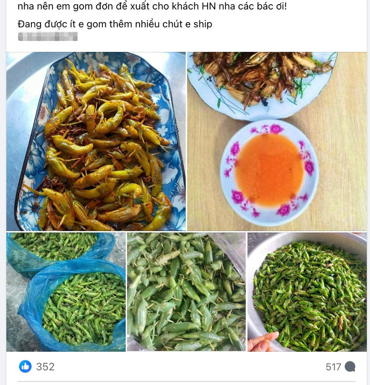 Bài đăng của chị Quý nhận về hơn 500 lượt bình luận và đặt hàng. (Ảnh chụp màn hình)