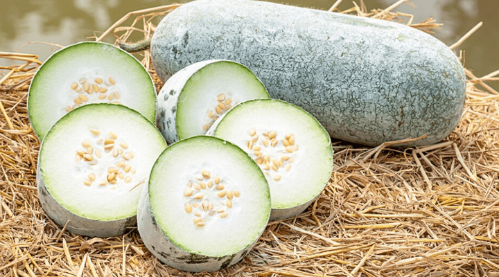 Mua bí đao thì nên chọn quả vỏ xanh đậm hay xanh nhạt? Loại xanh đậm được phần lớn mọi người nhận xét là ngon hơn. (Ảnh: Pinterest)