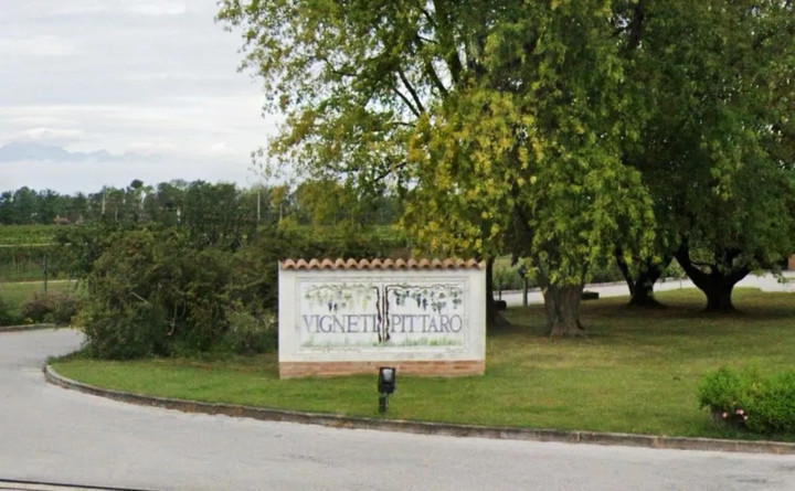 Nhà máy rượu Vigneti Pittaro được các nhân viên tiếp quản. (Ảnh: Newsflash)