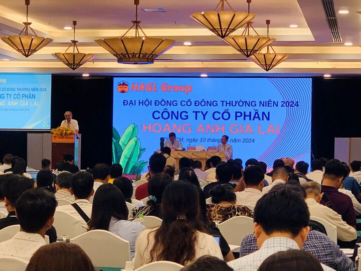 Bầu Đức nói với cổ đông HAGL kỳ vọng 1-2 năm tới sẽ có thêm 1 cái tên nhóm HAGL trên sàn HOSE. (Ảnh: BN)