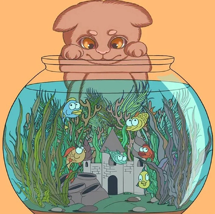 Chiếc lông vũ ở đâu?