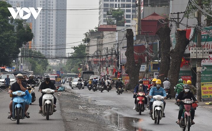 Tại đoạn tuyến đang thi công làm đường, vài tháng nay, loạt xà cừ hơn chục cây bị cắt ngọn đứng chơ vơ chờ đánh chuyển phục vụ dự án làm đường.