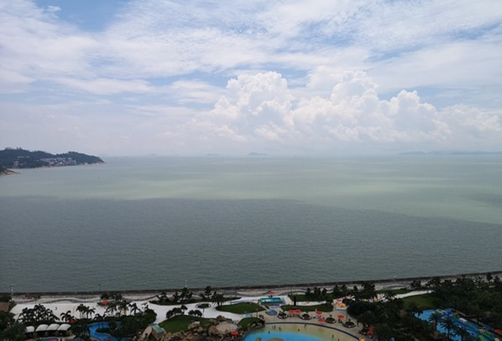 Khu vực nơi xảy ra sự việc.