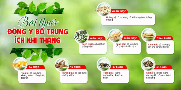 Bài thuốc đông y có công dùng bồi bổ cơ thể.