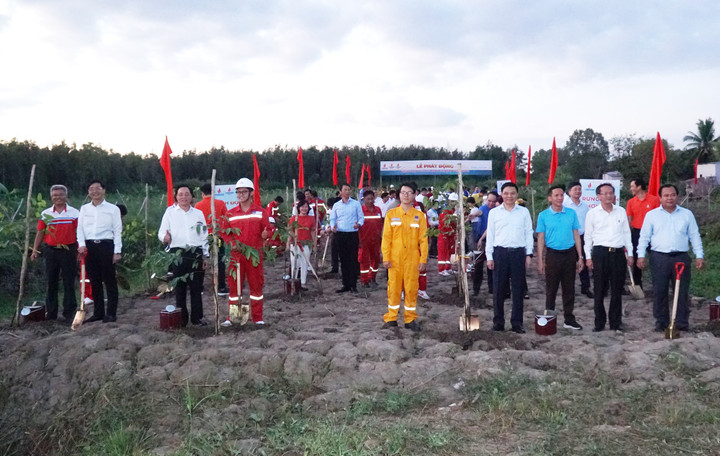 Petro Vietnam phát động trồng cây phục hồi rừng tại Cà Mau.