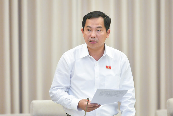 Chủ nhiệm Ủy ban Tài chính - Ngân sách của Quốc hội Lê Quang Mạnh. (Ảnh: quochoi.vn)