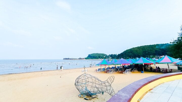 Top 10 bãi biển đẹp ở Việt Nam khiến du khách mê đắm