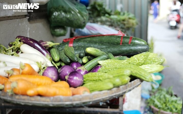 Nhiều loại rau xanh, củ quả ở Hà Nội đang tăng giá.