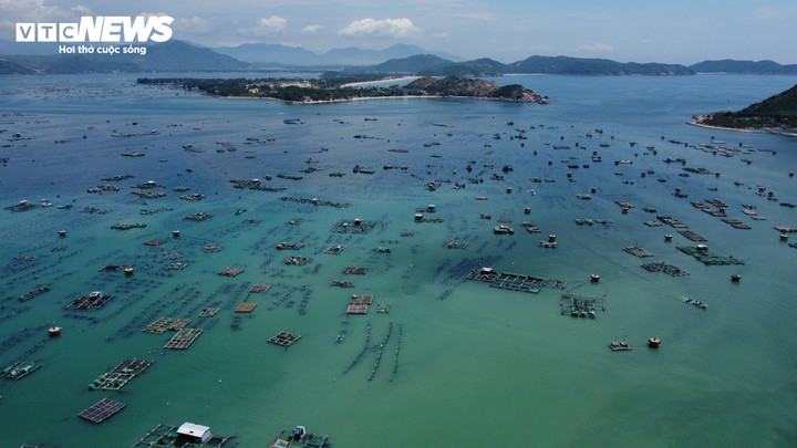 Khu vực đầm Cù Mông dày đặc các lồng, bè nuôi tôm.