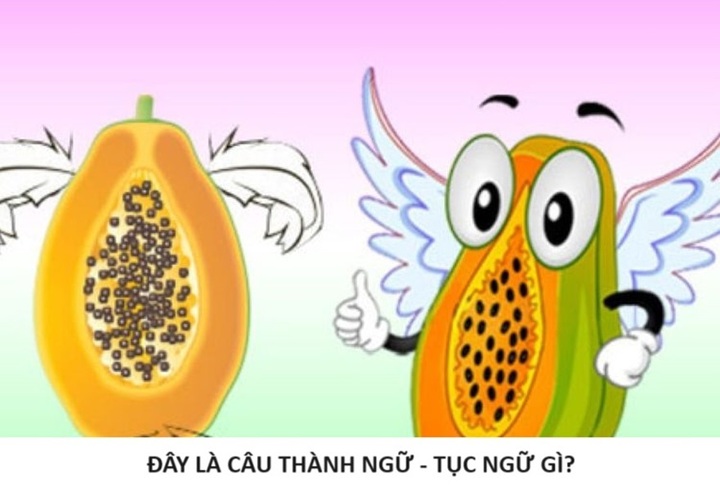 Đây là câu thành ngữ nào?