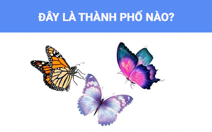 Đây là thành phố ở miền Bắc.