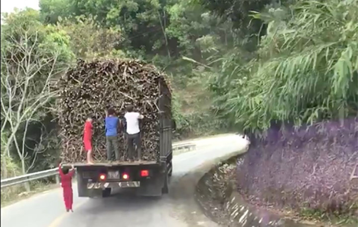 Người đi bộ đu bám vào phương tiện đang chạy sẽ bị xử phạt. (Ảnh: Thuvienphapluat)