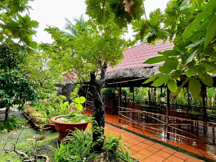 Vườn Măng quán có không gian xanh mát, gần gũi với thiên nhiên trong lành. (Ảnh: FB Vườn Măng quán)