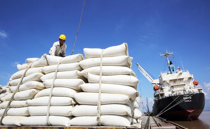 4 tháng đầu năm, Việt Nam xuất khẩu 3,4 triệu tấn gạo. (Ảnh: Chính phủ)