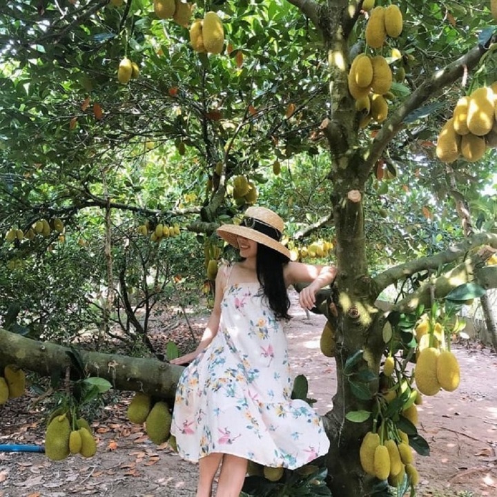 Tại địa điểm du lịch này, du khách vô cùng thích thú khi tham quan các miệt vườn, thưởng thức nhiều loại trái cây thơm ngon.