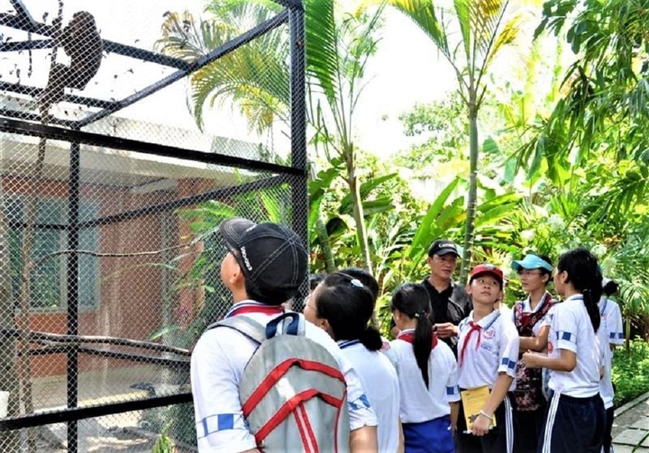 Tham quan trạm cứu hộ động vật hoang dã
