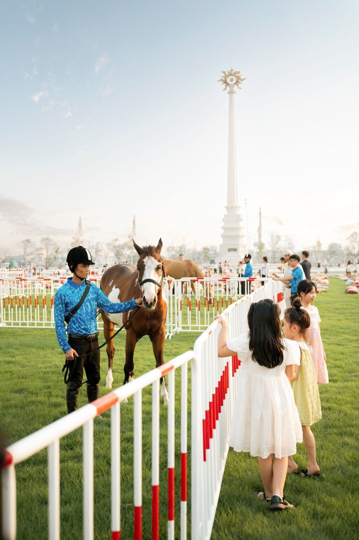 Cư dân và du khách sẽ được mục sở thị bộ sưu tập ngựa triệu đô tại Vinhomes Royal Island.