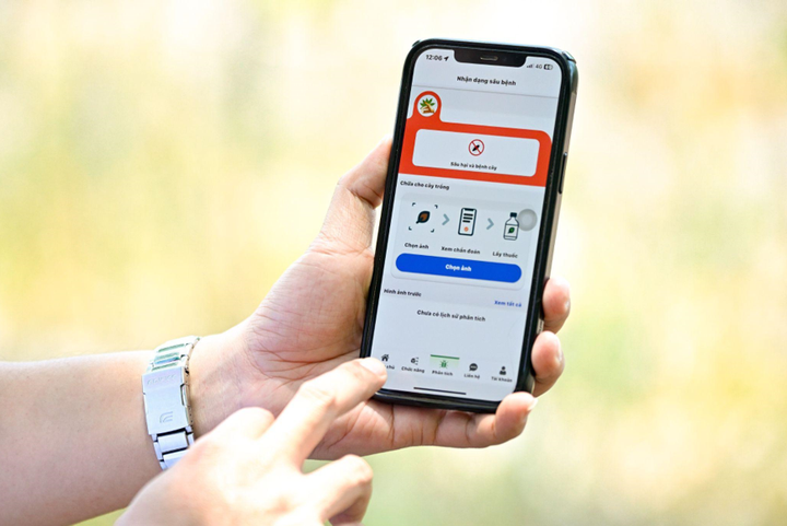 Ứng dụng “Khoai Mì - Aji” của Ajinomoto Việt Nam hỗ trợ nông dân rất nhiều trong quá trình chăm sóc khoai mì.