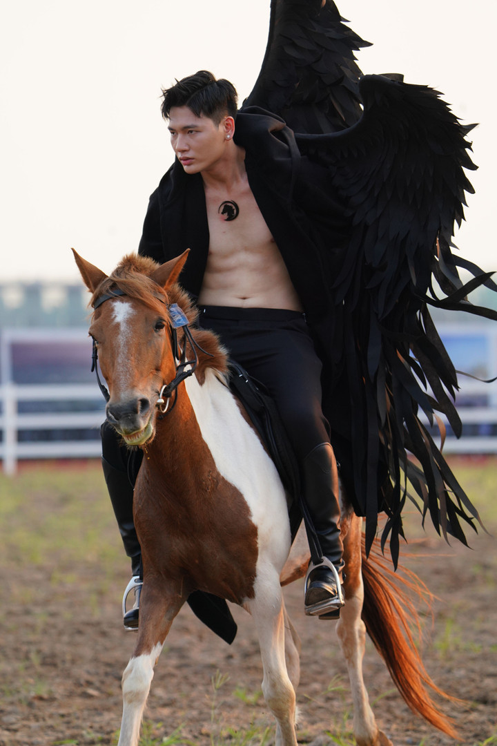 Chiêm ngưỡng dàn ngựa quý hiếm trình làng ở Vinpearl Horse Academy - 7