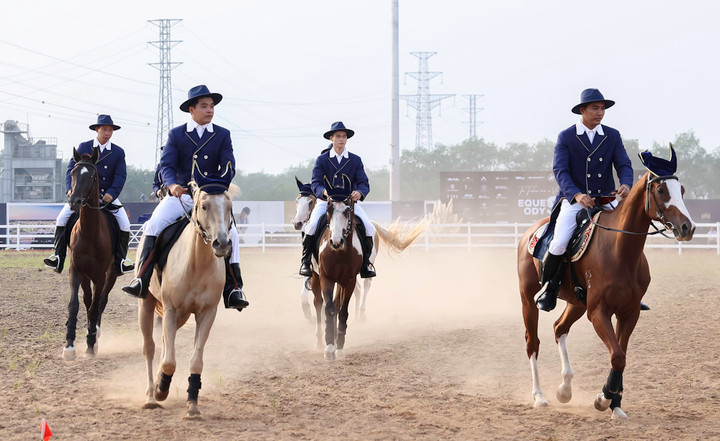 Đây là học viện cưỡi ngựa duy nhất tại Việt Nam theo phong cách hoàng gia, cung cấp dịch vụ đào tạo cưỡi ngựa chuyên nghiệp và trải nghiệm cưỡi ngựa đúng chuẩn quốc tế.