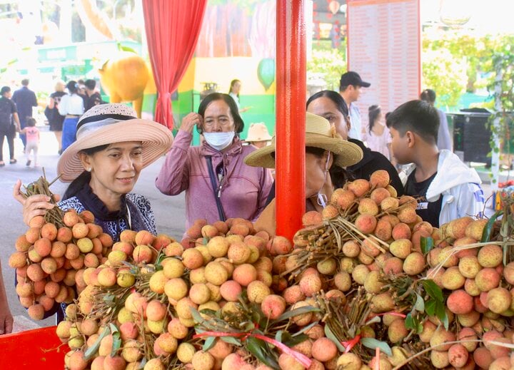 Khách tập trung mua vải thiều giá chỉ 25.000 đồng/kg. (Ảnh: M. Linh)